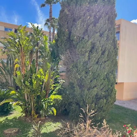 T2 Avec Piscine Au Lavandou, A 2 Pas De La Plage - Fr-1-677-55 Apartment Le Lavandou