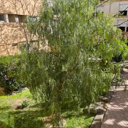 T2 Avec Piscine Au Lavandou, A 2 Pas De La Plage - Fr-1-677-55 Apartment Le Lavandou